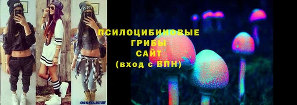 мдма Богородицк