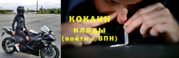 PSILOCYBIN Богданович