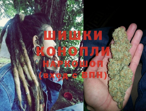PSILOCYBIN Богданович