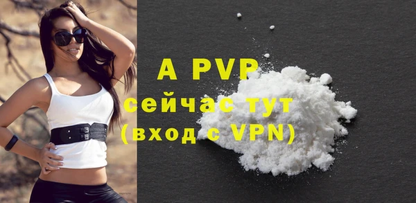PSILOCYBIN Богданович